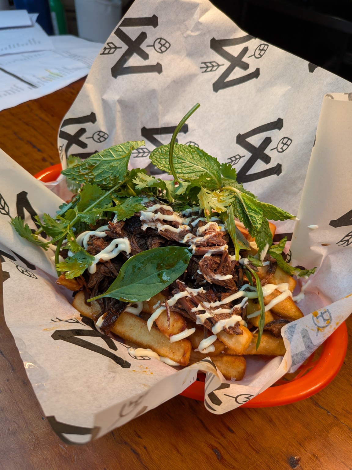 HC317 master stock beef loaded fries